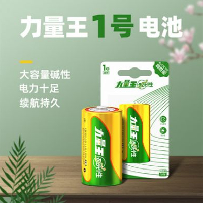 1号电池碱性力量王一号燃气灶热水器车位锁手电筒煤气干电池