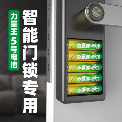 力量王电池5号玩具电池5号碱性干电池五号遥控器电池1.5v通用