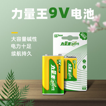 凌力9v电池碱性方形九伏万能表干电池烟雾报警器话筒麦克风通用