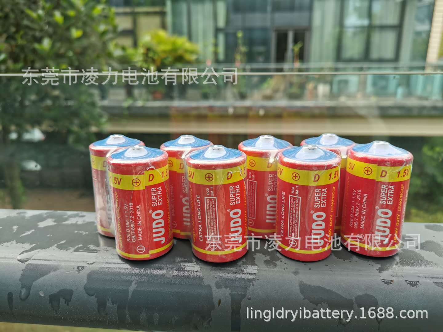 大号电池，手电筒大号电池