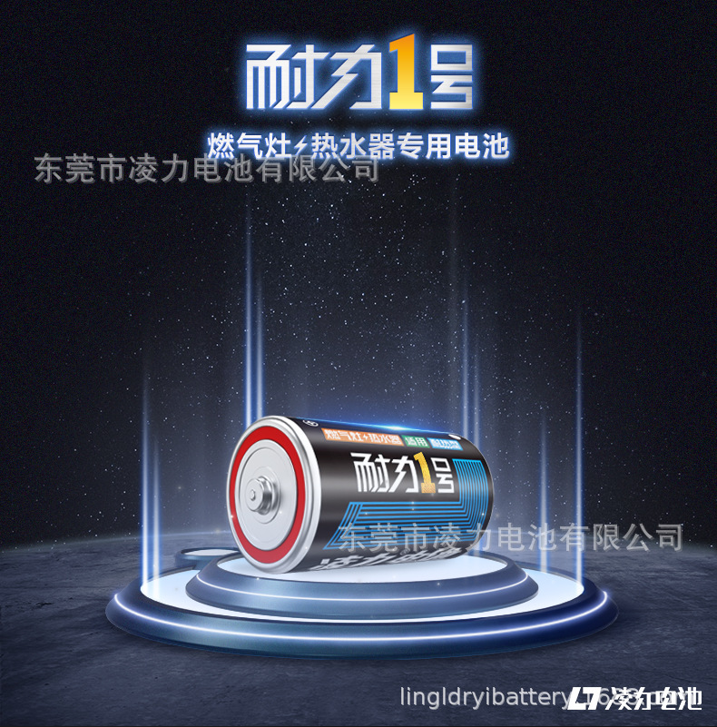 1号高容量耐力王电池，热水器专用，灶具专用，大号，R20P