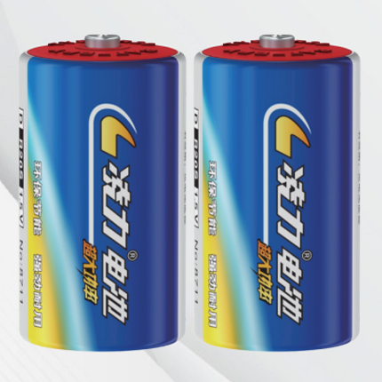 凌力R20 S碳性电池